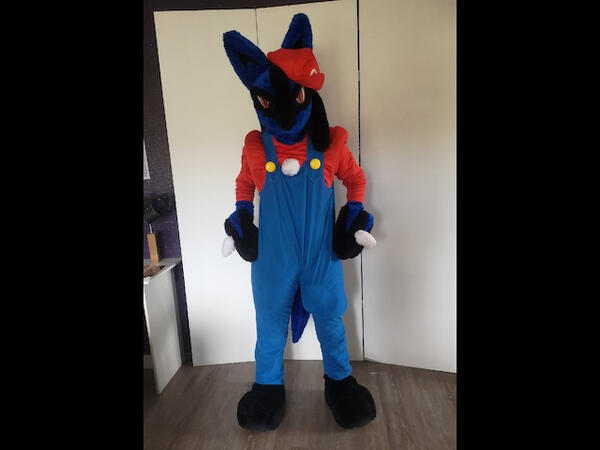 With the Mario costume