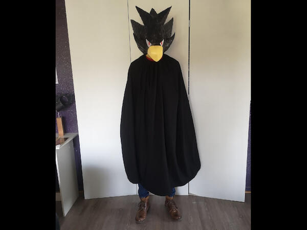 Full costume
